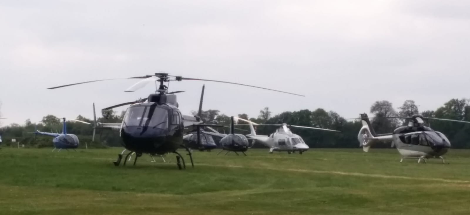 Light helicopters, including two Robinson R44s, parked in a field